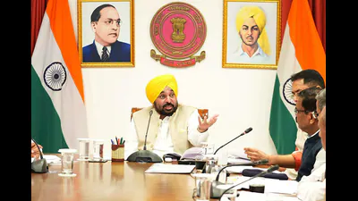 Chief minister Bhagwant Mann on Tuesday said Punjab’s anti-drug drive: A practical reader guide