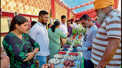 Long queues were seen at stalls offering crop varieties, planting: A practical reader guide