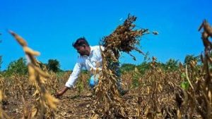 Farmers or data centres? Cong questions state's water priorities: A practical reader guide