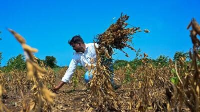Farmers or data centres? Cong questions state's water priorities: A practical reader guide