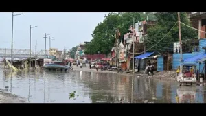 Ganga, Yamuna water levels rise again; rivers still remain below: A practical reader guide