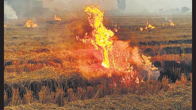 Haryana government is planning to deploy drones to monitor farm fires: A practical reader guide