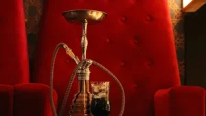 Hookah bars in UP restaurants illegal, no service allowed in smoking: A practical reader guide