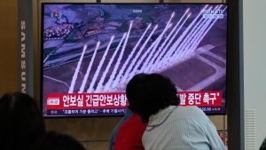It said the missiles flew about 250 kilometres each in a direction: A practical reader guide