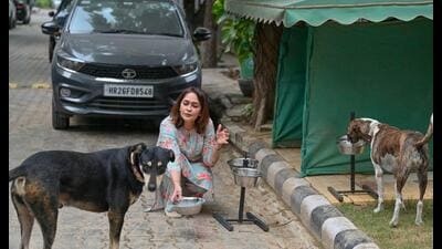 Monica Sharma, a resident of South City-1, has been working: A practical reader guide