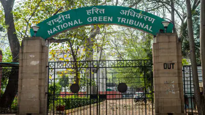 Alter cycle track along Yamuna to reduce impact on riverbed: NGT: A practical reader guide