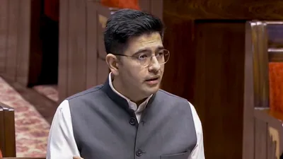 Raghav Chadha counters AAP's Delhi voter roll allegations: A practical reader guide