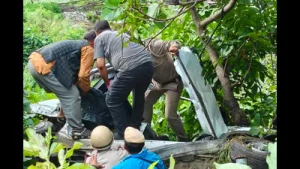 4 of family killed, 1 injured as car falls into 200-metre gorge: A practical reader guide