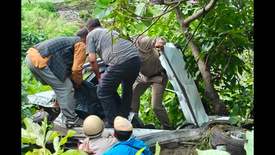 4 of family killed, 1 injured as car falls into 200-metre gorge: A practical reader guide