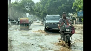 Residents of Sector 69 on Wednesday alleged that roads around Tulip: A practical reader guide