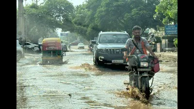 Residents of Sector 69 on Wednesday alleged that roads around Tulip: A practical reader guide