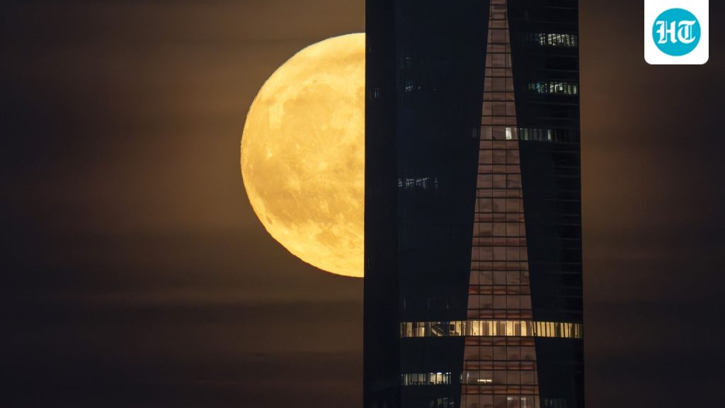 The Old Farmer's Almanac calls September's full Moon a Harvest Moon.: A practical reader guide