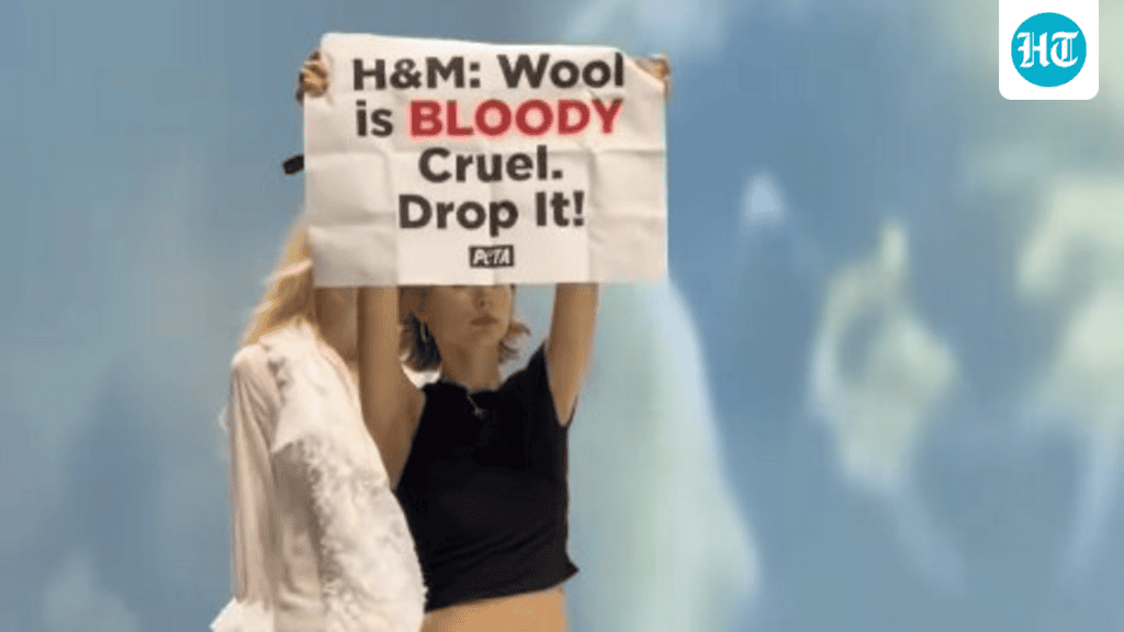 Internet reacts as PETA protestors interrupt H&M's London Fashion: A practical reader guide