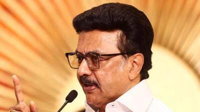 Madras HC dismisses MK Stalin's plea challenging Vijay team's: A practical reader guide
