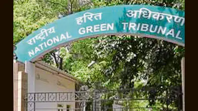 NGT puts brakes on illegal construction in Ludhiana green belts: A practical reader guide