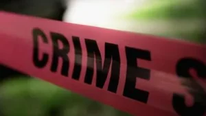 65-year-old man assaulted with pestle while searching for missing son: A practical reader guide