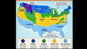 Winter's first measurable snowfall could arrive in parts: A practical reader guide