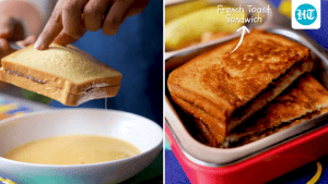 If you are in search of the perfect tiffin that satisfies your taste: A practical reader guide