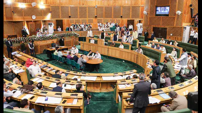 Uproar in House over J&K govt's six LPG cylinders announcement —: A practical reader guide