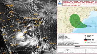 Odisha Chief Secretary Anu Garg also said the weather office had: A practical reader guide