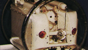 This time the rocket carried a dog named Laika, who became the first: A practical reader guide