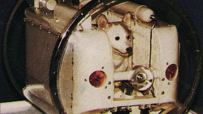 This time the rocket carried a dog named Laika, who became the first: A practical reader guide