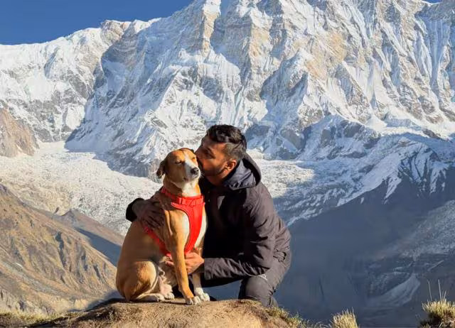 10 animals who are more talented than most hoomans — Listicle: A practical reader guide