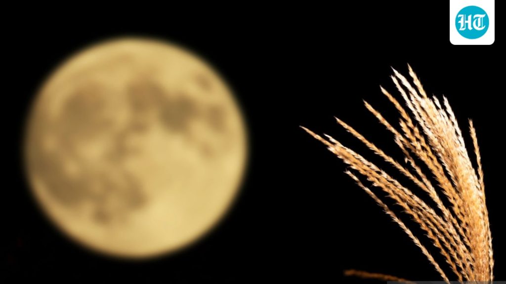 What day is the Harvest Moon in the US? Know the timings: A practical reader guide