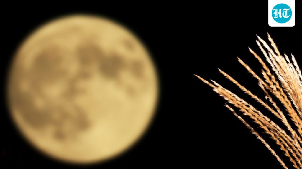 When to see the Harvest Moon in the US and what it means in astrology: A practical reader guide