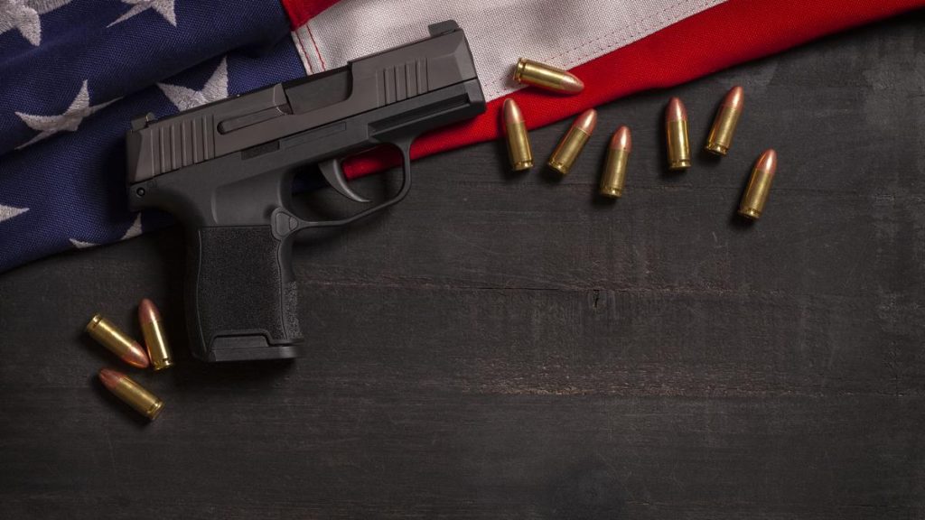 U.S. Justice Department — Ban on selling handguns to young adults: A practical reader guide