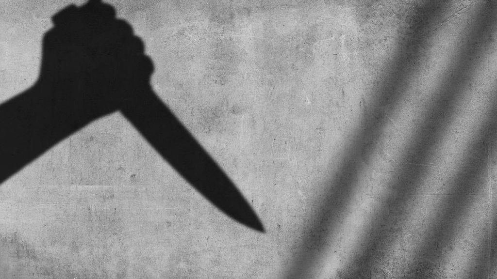 Sikh truck driver stabbed 17 times in U.S., recovering: A practical reader guide