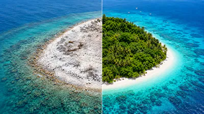 This coral island was stripped bare by mining; an Australian pilot: A practical reader guide