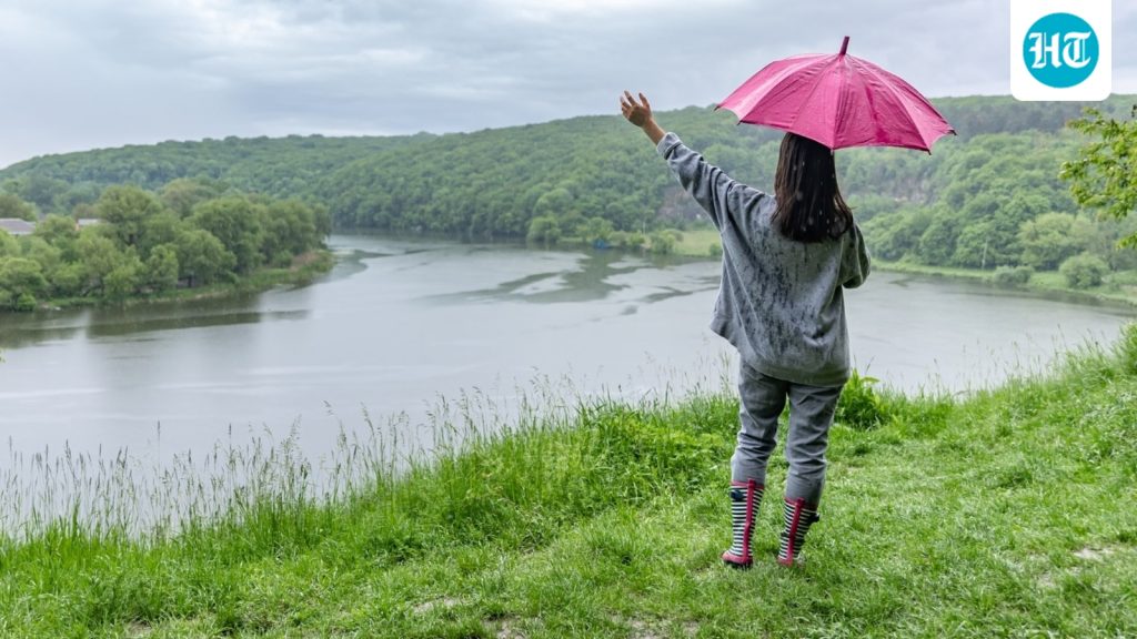 This time, break away from the familiar circuit and explore something: A practical reader guide