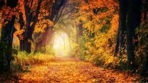 Date, time and what it means in astrology — Autumn Equinox 2026: A practical reader guide