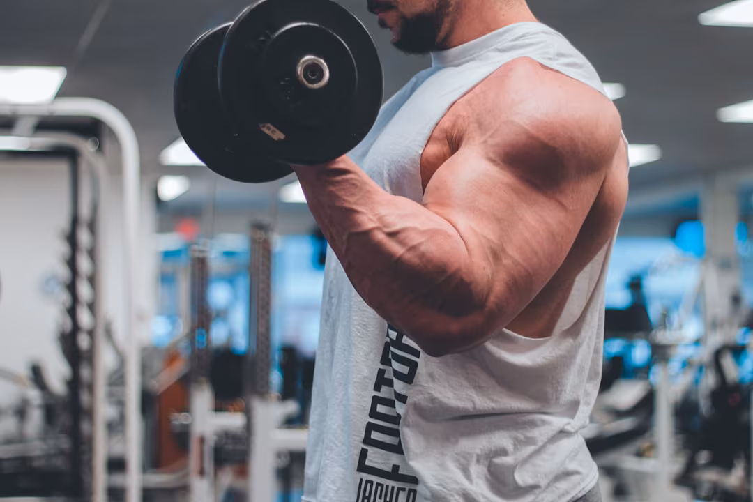 Stopping testosterone or steroids does not necessarily mean fertility: A practical reader guide