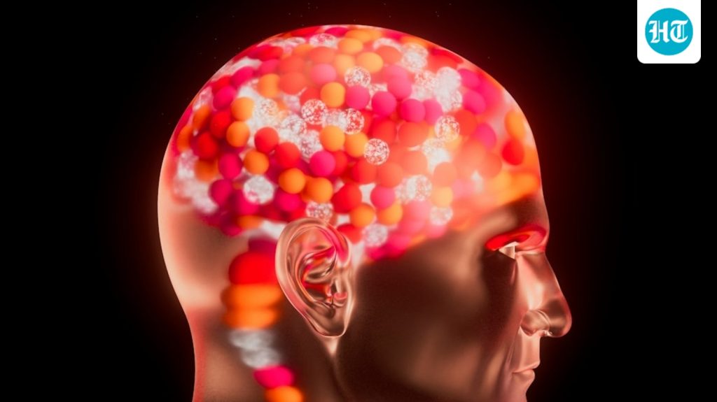 “Studies show probiotics (such as lactobacillus and bifidobacterium): A practical reader guide
