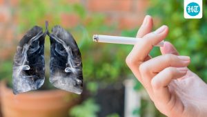 This World Lung Day, here is what happens to your lungs when you quit: A practical reader guide