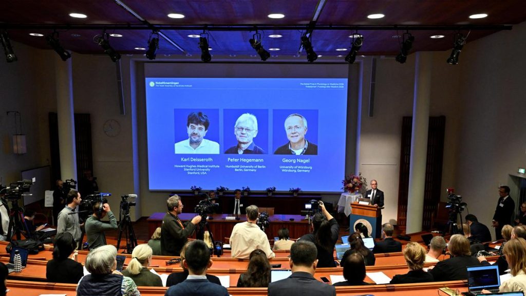 Winning a Nobel Prize also means the award going to a small number: A practical reader guide