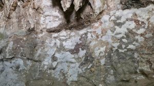 Indonesia wildfires threaten world's oldest cave paintings: A practical reader guide