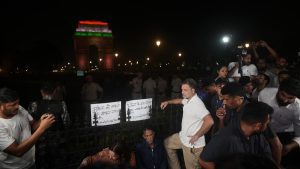 Because article 361 of the Constitution provides immunity: A practical reader guide