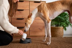 Why do you need to take care when switching your pet's food?: A practical reader guide