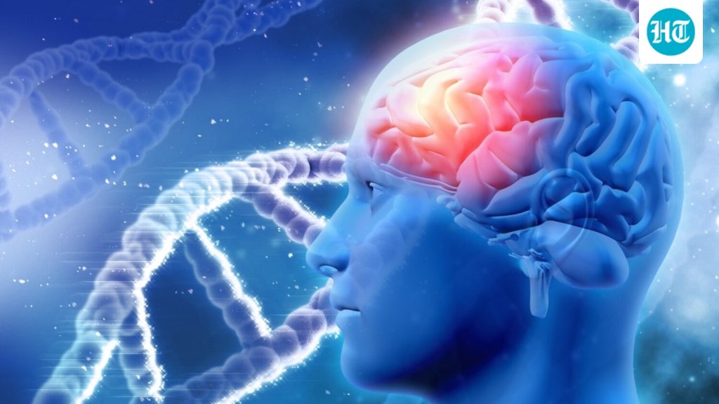 Brain health is closely linked to everyday habits, from how well we: A practical reader guide