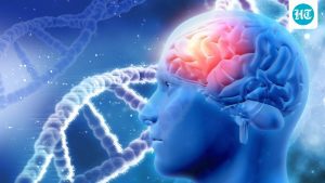 Brain health is closely linked to everyday habits, from how well we: A practical reader guide