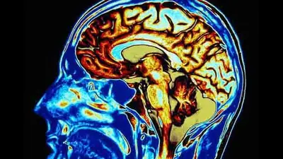 Is your forgetfulness a red flag? Neurologist raises concerns over: A practical reader guide