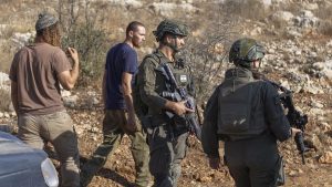 UN experts urge Israel to protect West Bank olive farmers: A practical reader guide