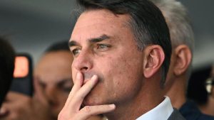 Flavio Bolsonaro said he would seek to annul the result, citing: A practical reader guide