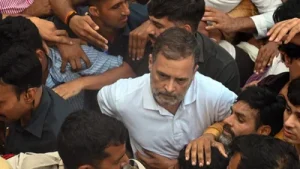 BJP claims Rahul Gandhi tried to push woman cop 'in his eagerness: A practical reader guide