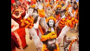 “We are sure that like the Maha Kumbh Mela at Prayagraj last year: A practical reader guide