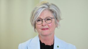 Australian independent lawmaker Helen Haines was deliberately struck: A practical reader guide