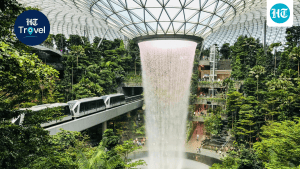Keep a few hours aside for Jewel Changi Airport and receives your: A practical reader guide